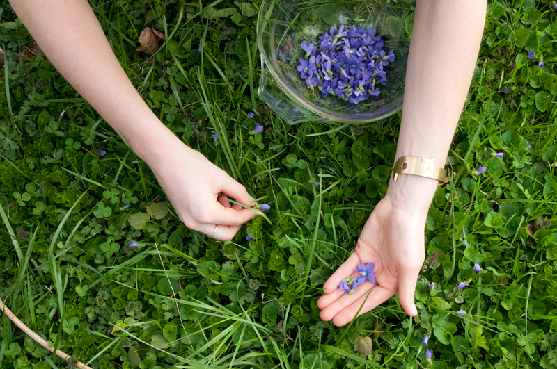 picking-violets